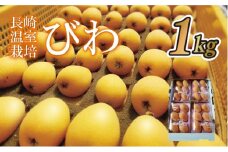 C154p 長崎温室栽培びわ(L･Mサイズ1,000g)