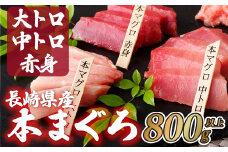A143p 長崎県産 本マグロ (大トロ・中トロ・赤身)  計800g以上 海鮮丼のタレ付き 真空パック後に超速冷凍【本家永松家】マグロ まぐろ 鮪 大トロ 大とろ 中トロ 中とろ 赤身 刺身 海鮮丼