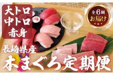 A144p 【隔月6回定期便 総計3.6kg】本マグロ (大トロ・中トロ・赤身)  計600g以上 長崎県産 海鮮丼のタレ付き【本家永松家】マグロ まぐろ 鮪 大とろ 中とろ 赤身 刺身 定期便