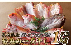 A124p 長崎県産旬魚おまかせ一夜干しセット