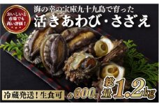 A176p 九十九島あわび(600g)･さざえ(600g) 生食 新鮮 魚介 魚貝 贈答 お中元 お歳暮 ギフト