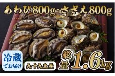 A177p 九十九島あわび(800g)･さざえ(800g)