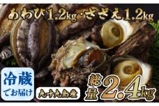 A179p 九十九島あわび(1,200g)･さざえ(1,200g)
