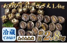A180p 九十九島あわび(1,400g)･さざえ(1,400g)