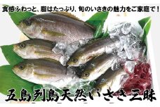 A195p 五島列島天然いさき三昧