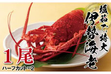 A377p 長崎県産塩茹で特大伊勢海老(1尾)