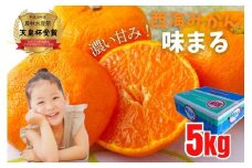 C328 西海みかん｢味まる｣ 5㎏ / 糖度12度以上 佐世保 長崎  温州みかん ミカン 旬 甘い 家庭用 自宅用 送料無料 長崎県産 常温 ブランドみかん JA 農協