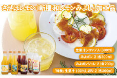 C170p 幻の香酸かんきつ味美(新種和レモン)加工品
