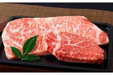 B222p 長崎和牛サーロイン･ヒレ食べ比べステーキセット
