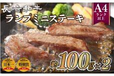 B221p 長崎和牛ランプミニステーキ(2枚)