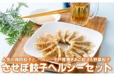 E179p 〈させぼ餃子研究所〉させぼ餃子ヘルシーセット