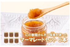 C173p 幻の香酸かんきつ味美(新種和レモン)を使ったマーマレードセット