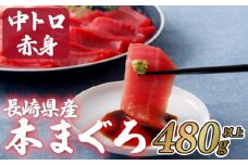 A131p 長崎県産 本マグロ (中トロ・赤身)  計480g以上 海鮮丼のタレ付き 真空パック後に超速冷凍【本家永松家】マグロ まぐろ 鮪 中トロ 中とろ 赤身 刺身 海鮮丼 寿司