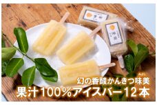 C175p 幻の香酸かんきつ味美(新種和レモン)果汁100%アイスバー
