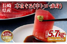 A134p 【全12回定期便 総計5.76kg】長崎県産 本マグロ (中トロ・赤身)  計480g以上 海鮮丼のタレ付き【本家永松家】マグロ まぐろ 鮪 中トロ 中とろ 赤身 刺身 海鮮丼 定期便 頒布会