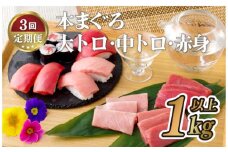 A140p 【全3回定期便 総計3kg】本マグロ (大トロ・中トロ・赤身)  計1kg以上 長崎県産 海鮮丼のタレ付き【本家永松家】マグロ まぐろ 鮪 大とろ 中とろ 赤身 刺身 海鮮丼 定期便