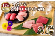 A142p 【全12回定期便 総計12kg】本マグロ (大トロ・中トロ・赤身)  計1kg以上 長崎県産 海鮮丼のタレ付き【本家永松家】マグロ まぐろ 鮪 大とろ 中とろ 赤身 刺身 海鮮丼 定期便