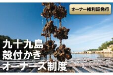 A160a 九十九島殻付かきオーナーズ制度(2026年冬お届け）