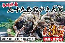 A163p 九十九島岩がき大夏(おおなつ)