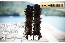 A161a 九十九島岩がきオーナーズ制度(2025年夏お届け)