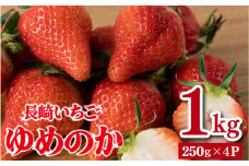 C159p 長崎県産 いちご「ゆめのか」 約1kg (250g×4パック)