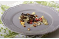 E101p すぐ食べられる「昆虫食｣(8袋)