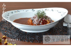 G221p 〈平戸嘉祥窯〉みかわちカレー皿(アラベスク)