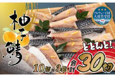 A288a 〈丸富水産〉人気柚子鯖(30切)