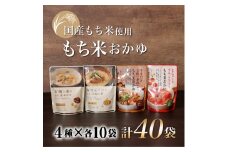 E369p 【大容量!】本当に具だくさん おかゆ4種セット40食分(4種各10袋)/長崎 豊味館