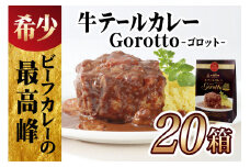 E364p 【2024北野エースカレー大賞受賞！】【大容量20食分!】牛テールカレーゴロット20箱セット(各350g)【豊味館】感動のやわらかさ Gorotto 長崎 佐世保 九州 レトルトカレー ビーフカレー