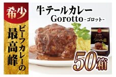 E365p 【2024北野エースカレー大賞受賞】【大容量50食分!】牛テールカレーゴロット50箱セット(各350g)【豊味館】感動のやわらかさ Gorotto 長崎 佐世保 九州 レトルトカレー ビーフカレー