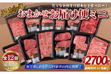 B249p 《定期便》長崎和牛おまかせお届け便ミニ(12回)