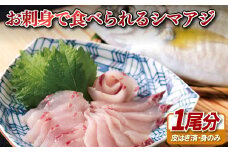 A111p ｢活〆急速冷凍｣お刺身で食べられるシマアジ