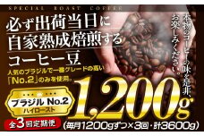 E429z 【3回定期便】必ず出荷日に自家熟成焙煎ブラジルNo.2豆(1,200g)【SASEBO Coffee TOMINAGA】30000円 人気 新鮮 挽きたて 高級コーヒー 本格 大容量