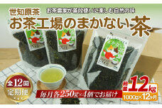 C247p 世知原茶お茶工場のまかない茶【12回定期便】