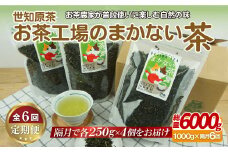 C248p 世知原茶お茶工場のまかない茶【6回定期便】