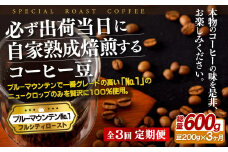 E266z 【3回定期便】必ず出荷日に自家熟成焙煎 ブルーマウンテンNo.1豆(200g) コーヒー豆【SASEBO Coffee TOMINAGA】人気 新鮮 挽きたて 高級コーヒー 本格