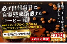 E284z 【3回定期便】必ず出荷日に自家熟成焙煎ゲイシャ豆(160g)･ブルーマウンテン№.1豆(100g)【SASEBO Coffee TOMINAGA】人気 新鮮 挽きたて 高級コーヒー 本格 希少