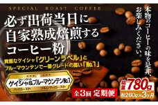 E287z 【3回定期便】必ず出荷日に自家熟成焙煎ゲイシャ粉(160g)･ブルーマウンテン№.1粉(100g)【SASEBO Coffee TOMINAGA】人気 新鮮 挽きたて 高級コーヒー 本格 希少