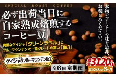 E291z 【6回定期便】必ず出荷日に自家熟成焙煎ゲイシャ豆(320g)･ブルーマウンテン№.1豆(200g)【SASEBO Coffee TOMINAGA】人気 新鮮 挽きたて 高級コーヒー 本格 希少
