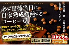 E298z 【12回定期便】必ず出荷日に自家熟成焙煎ゲイシャ豆(640g)･ブルーマウンテン№.1豆(400g)【SASEBO Coffee TOMINAGA】人気 新鮮 挽きたて 高級コーヒー 本格 希少
