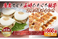 E306p 角煮まんと長崎一口餃子2種の詰め合わせ【6回定期便】
