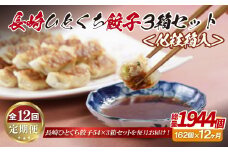 E318p 長崎ひとくち餃子162個(54個入を3箱)〈化粧箱入〉【12回定期便】