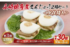 E328p 長崎豚角煮まんじゅう10個(5入を2箱)〈化粧箱入〉【3回定期便】