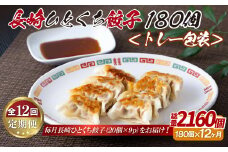 E338p 長崎ひとくち餃子〈トレー包装〉180個【12回定期便】
