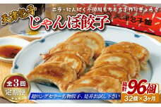 E392p 《定期便》【総計96個】天津包子 名物 もちもち 厚皮じゃんぼ餃子 32個(8個×4パック) ニラ 