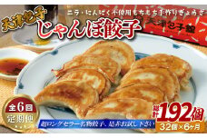 E393p 《定期便》【総計192個】天津包子名物 もちもち厚皮 じゃんぼ餃子 32個 (8個×4パック) ニラ