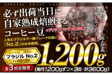 E429d 《定期便》【ドリップバッグ付！】必ず出荷日に自家熟成焙煎ブラジルNo.2豆(1.2kg)＋ドリップバッグ4パック【3回お届け】ブラジル豆の最高グレード J.C.Q.A認定コーヒーインストラクター1級のこだわり コーヒー本来の味を楽しめるハイロースト【SASEBO Coffee TOMINAGA】30000円 人気 新鮮 挽きたて 大容量
