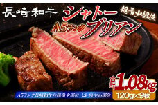 B393 【超希少部位】長崎和牛 A5等級 シャトーブリアン 120g×9枚 総量1.08kg【田中精肉店】シャトーブリアン ヒレ フィレ ステーキ 赤身 和牛 黒毛和牛 牛肉 希少部位