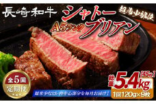 B394 【5回定期便】長崎和牛 A5等級 シャトーブリアン 120g×9枚 総量45枚 5.4kg 【田中精肉店】シャトーブリアン ヒレ フィレ ステーキ 赤身 和牛 黒毛和牛 牛肉 希少部位